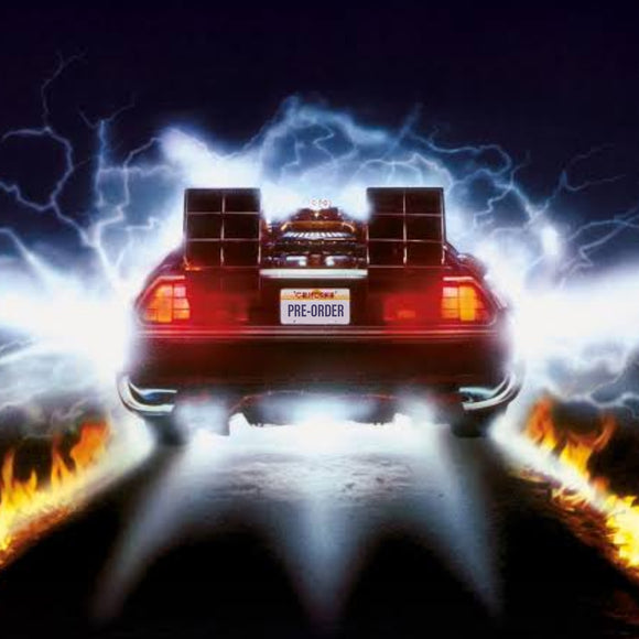 ToySack | Pre-Order Back to the Future