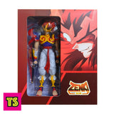 Box Package Details, Zenki 8-Inch Fully Articulated Action Figure, by Dasin Toys 2023 | ToySack, buy anime and manga toys for sale online at ToySack Philippines