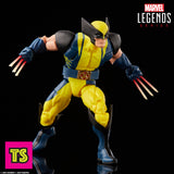 Action Pose, Wolverine Heat Claws, Marvel Legends Bonebreaker BAF Series by Hasbro | ToySack, buy retro and vintage X-Men, Spider-Man, Avengers, and Marvel action figures, toys, and collectibles for sale online at ToySack.

We ship internationally.