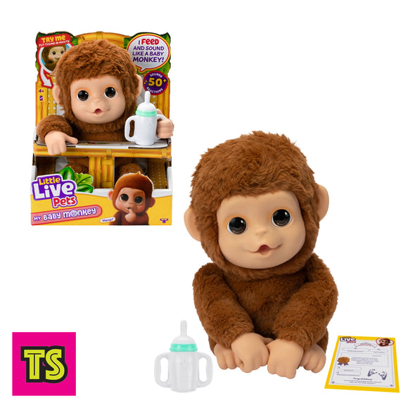 Little Live Pets: My Baby Monkey Mango, by Moose Toys 2025 | ToySack, buy kids toys for birthday and Christmas gifts online at ToySack