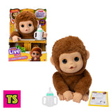 Little Live Pets: My Baby Monkey Mango, by Moose Toys 2025 | ToySack, buy kids toys for birthday and Christmas gifts online at ToySack