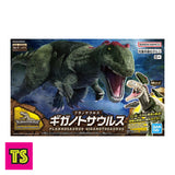 Box Detail, Giganotosaurus Museum Class Model, Plannosaurus by Bandai | ToySack, buy dinosaur toysa for sale online at ToySack Philippines