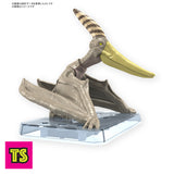 Model Flesh, Pteranodon Museum Class Model, Plannosaurus by Bandai | ToySack, buy dinosaur toys for sale online at ToySack Philippines