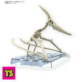 Skeleton Rest, Pteranodon Museum Class Model, Plannosaurus by Bandai | ToySack, buy dinosaur toys for sale online at ToySack Philippines