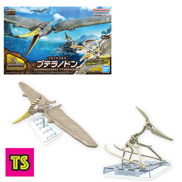 Pteranodon Museum Class Model, Plannosaurus by Bandai