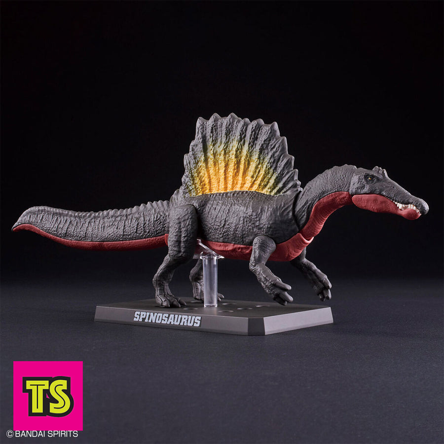 Spinosaurus (Accurate) Museum Class Model, Plannosaurus by Bandai