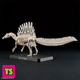 Museum Skeleton Pose, Spinosaurus (Accurate) Museum Class Model, Plannosaurus by Bandai | ToySack, buy dinosaur toys for sale online at ToySack Philippines