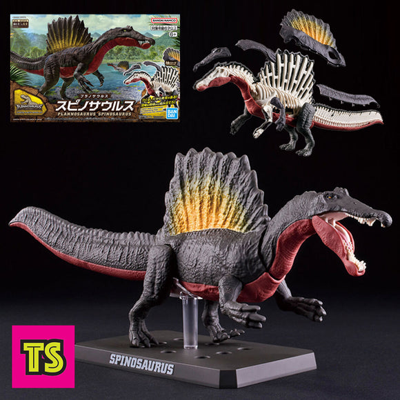 Spinosaurus (Accurate) Museum Class Model, Plannosaurus by Bandai | ToySack, buy dinosaur toys for sale online at ToySack Philippines