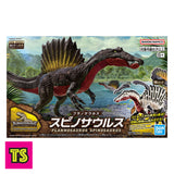 Box Details, Spinosaurus (Accurate) Museum Class Model, Plannosaurus by Bandai | ToySack, buy dinosaur toys for sale online at ToySack Philippines