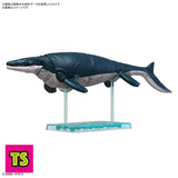 Shell Model, Mososaurus, Plannosaurus by Bandai | ToySack, buy model kits for sale