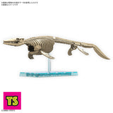 Skeleton Model, Mososaurus, Plannosaurus by Bandai | ToySack, buy model kits for sale