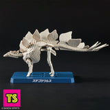 Model Pose Skeleton, Stegosaurus, Plannosaurus by Bandai | ToySack, buy model kits for sale online at ToySack Philippines