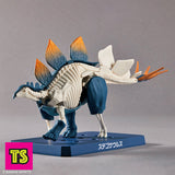 Model Pose Skeleton and Shell, Stegosaurus, Plannosaurus by Bandai | ToySack, buy model kits for sale online at ToySack Philippines