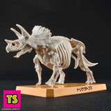 Skeleton Pose, Triceratops, Plannosaurus by Bandai | ToySack, buy model kits for sale online at ToySack Philippines