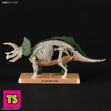 Shell and Skeleton, ]Triceratops, Plannosaurus by Bandai | ToySack, buy model kits for sale online at ToySack Philippines