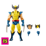 Package Contents, Wolverine, X-Men '97 by Hasbro 2023 | ToySack, buy Marvel toys for sale online at ToySack Philippines
