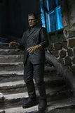 Action Figure Pose 3, Package Detail, Frankenstein, Universal Monsters by NECA 2021 | ToySack, buy pop-culture toys for sale online at ToySack Philippines