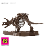 Triceratops (Dinosaur), Imaginary Skeleton by Bandai Spirits | ToySack, buy dinosaur toys for sale online at ToySack Philippines