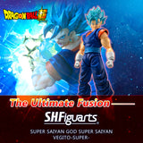 Promotional Detail, Super Saiyan Blue Vegito, S.H. Figuarts Dragon Ball by Bandai 2020, buy Dragon Ball toys for sale online at ToySack Philippines